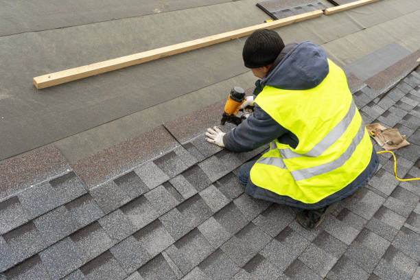 Best Metal Roofing Contractor  in Tsaile, AZ