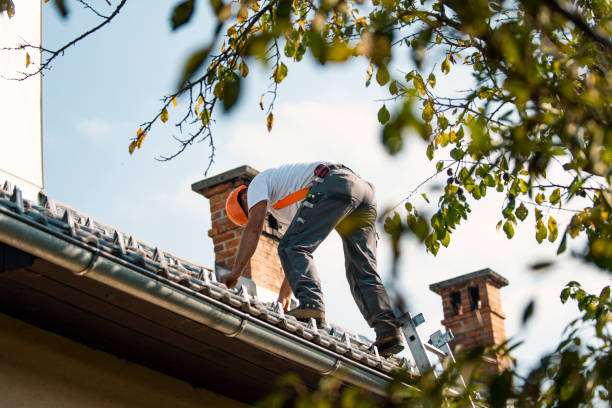 Best Local Roofing Companies  in Tsaile, AZ