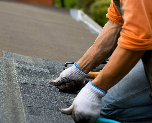 Best Roof Gutter Cleaning  in Tsaile, AZ