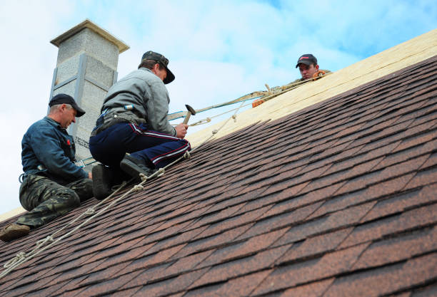 Best Roof Leak Repair  in Tsaile, AZ