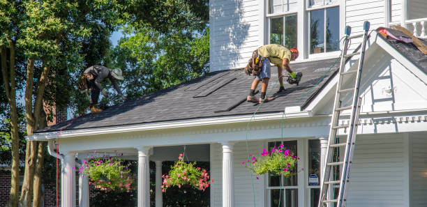 Best Gutter Installation and Roofing  in Tsaile, AZ