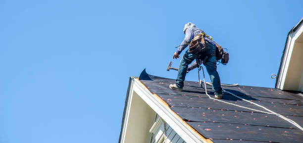 Best Sealant for Roof  in Tsaile, AZ
